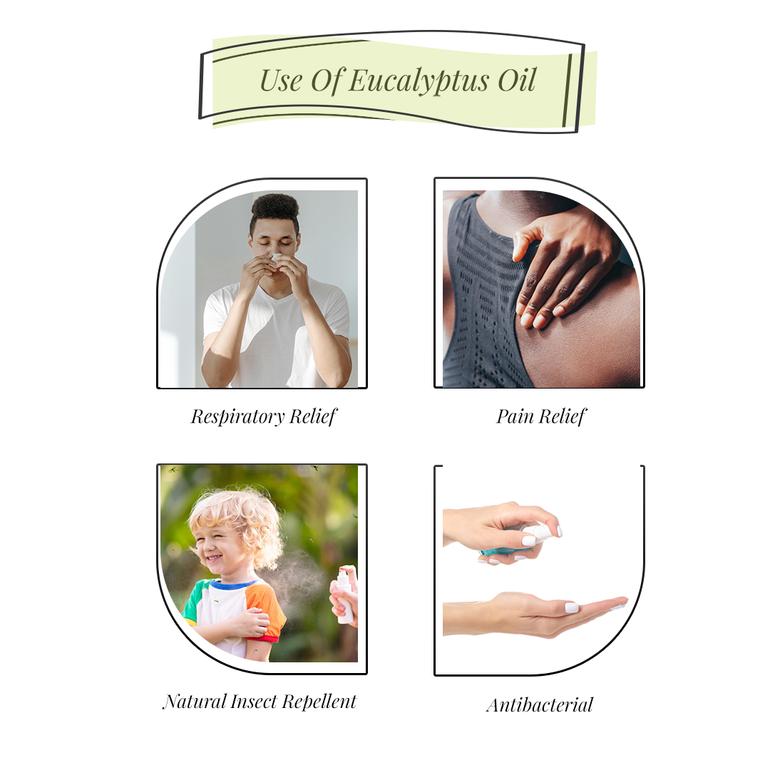 Eucalyptus Essential Oil (30 ml)